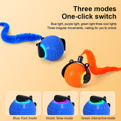 img_4110125