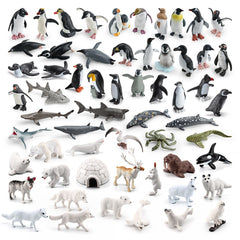 Set of 26 Wild Polar Marine Animals for Education