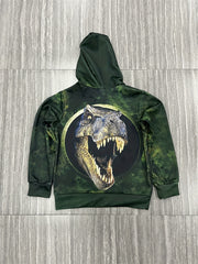Boy's Fierce T Rex Graphic Hoodie 3D Print Hooded Sweatshirt
