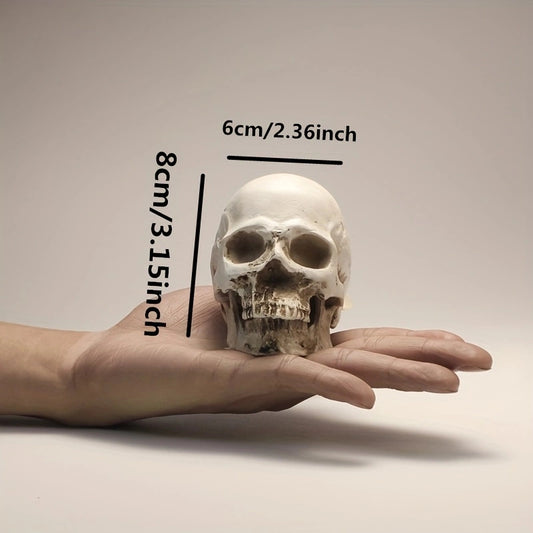 1pc Resin Skull Model Collectible Halloween Ornaments Skull Head