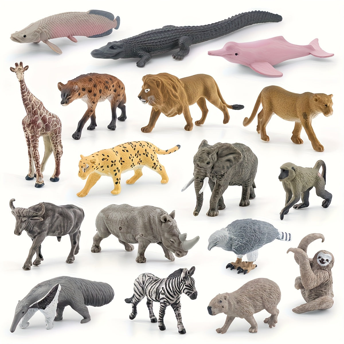 img_5430269