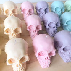 Large 3D Skull Silicone Mold for Resin Casting