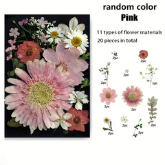 20pcs Natural Dried Flowers Set DIY Art Decoration