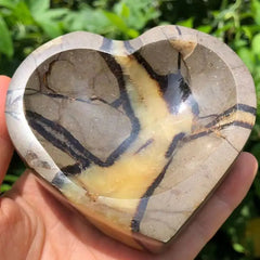img_5111963