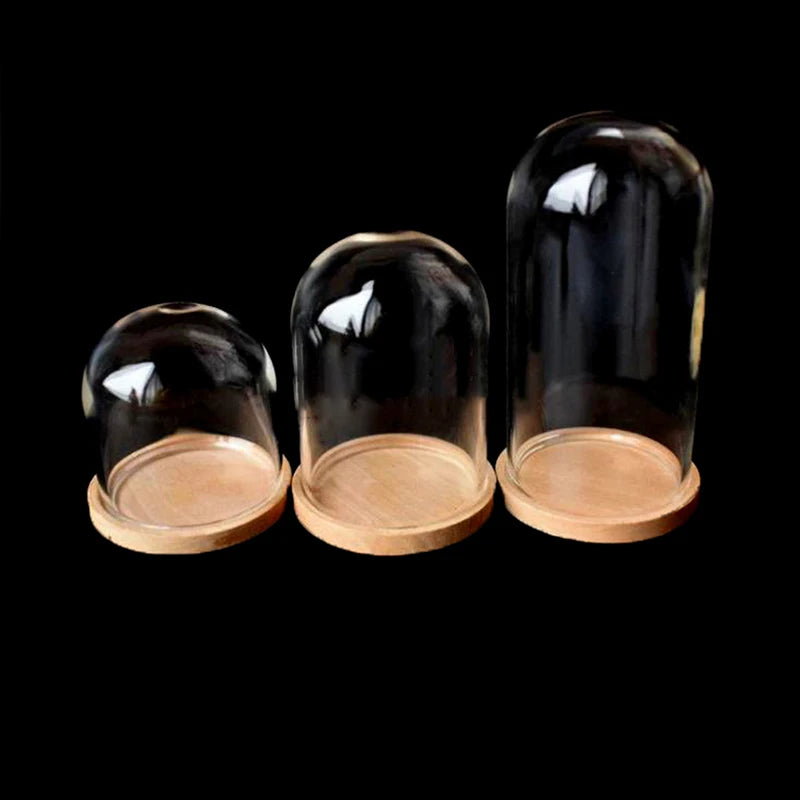 img_2968903