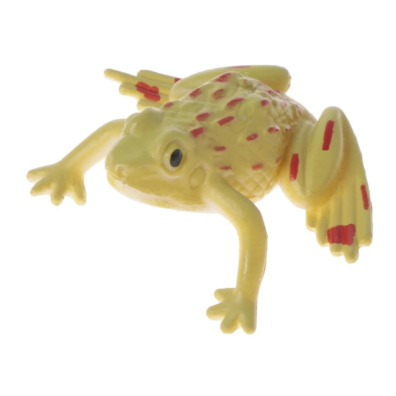 img_2672011