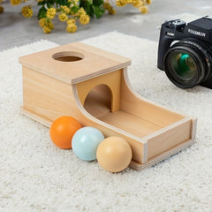 Wooden Puzzle Box Sorting Toy Develop Hand Eye Coordination