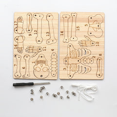 DIY Human Skull Toy Material Set