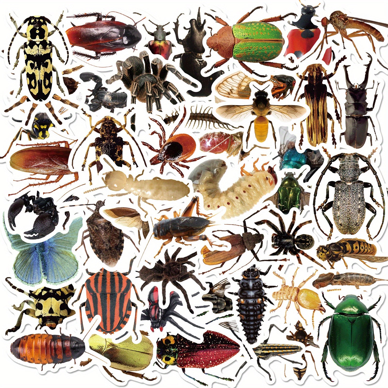 50pcs Insect Vinyl Stickers Waterproof Pack for Water Bottle Laptop Phone