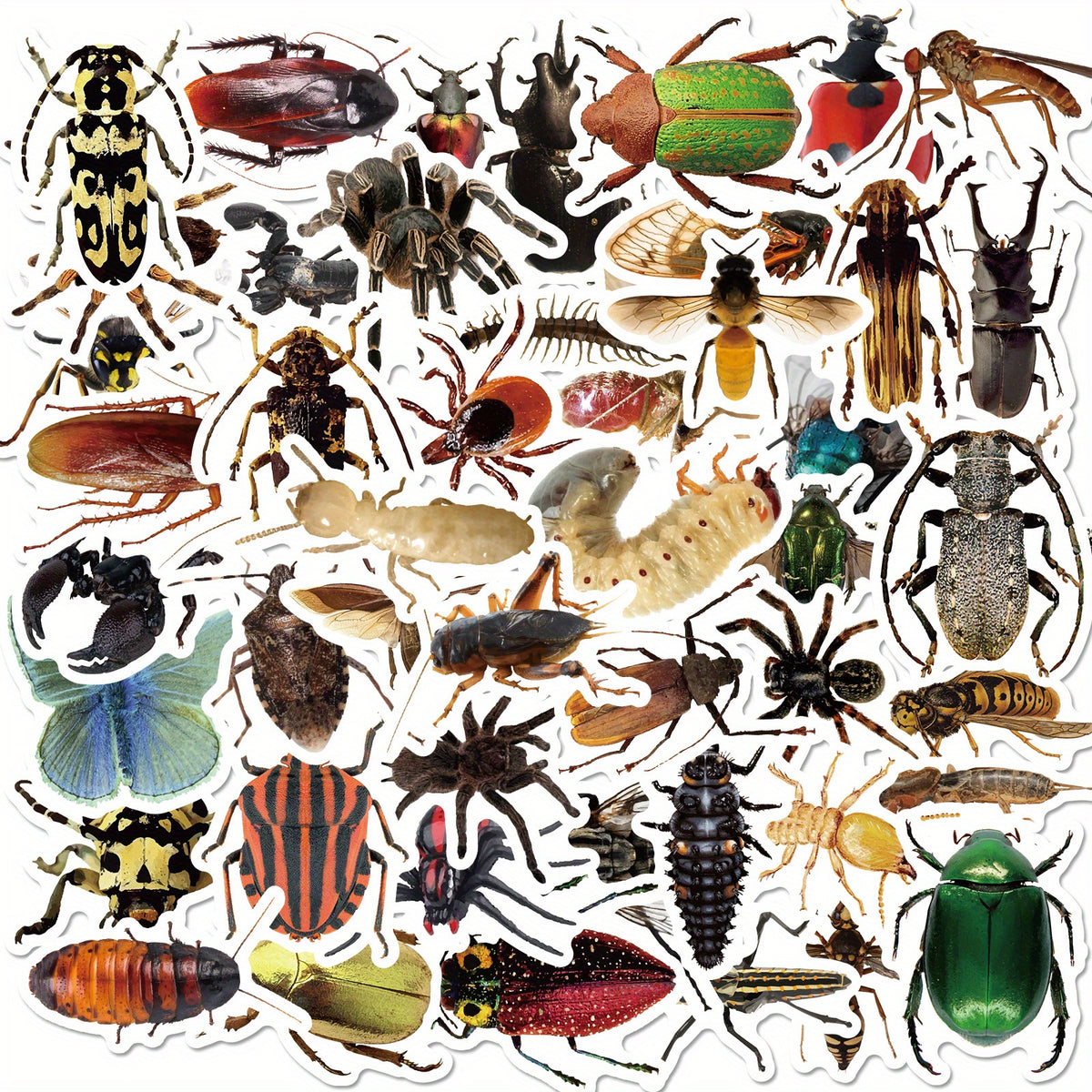 50pcs Insect Vinyl Stickers Waterproof Pack for Water Bottle Laptop Phone