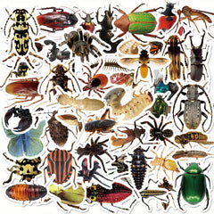 50pcs Insect Vinyl Stickers Waterproof Pack for Water Bottle Laptop Phone