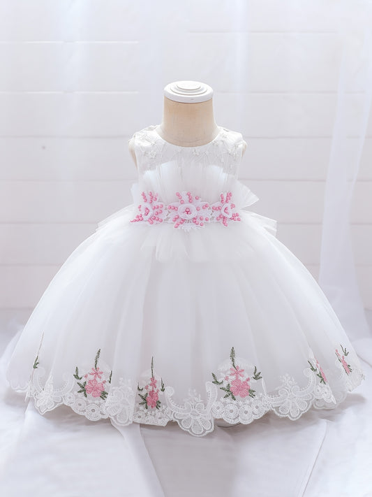 Baby Girl Mesh Embroidered Princess Dress