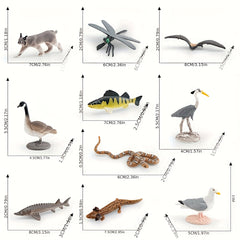 Realistic North American Wildlife Animal Model Set