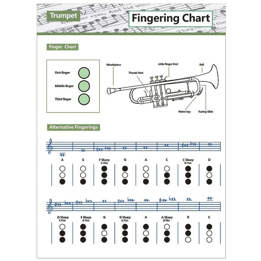 Practical Trumpet Finger Book for Beginners