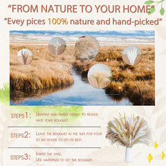 50pcs Natural Pampas Grass Bouquet Boho & Western Wedding Decor
