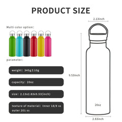 20oz Insulated Water Bottle Steel Lid BPA Free