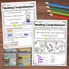 Seasonal Reading Comprehension Set for K-Prep & Grade