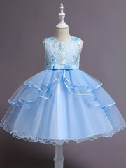 Princess Dress For Christmas Birthday & Evening Parties Sleeveless Flower Embroi