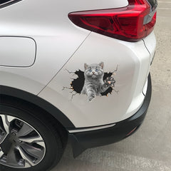 3D Kitten Car Stickers Funny Kitten Cover Car Rear Scratches Sticker