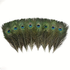 24pcs High Peacock Eye Feathers 25-48 Cm DIY Craft Dance Makeup Decor