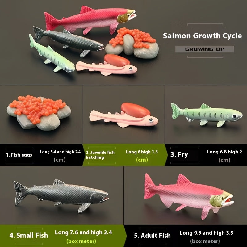 Marine Animals Growth Cycle Models Set