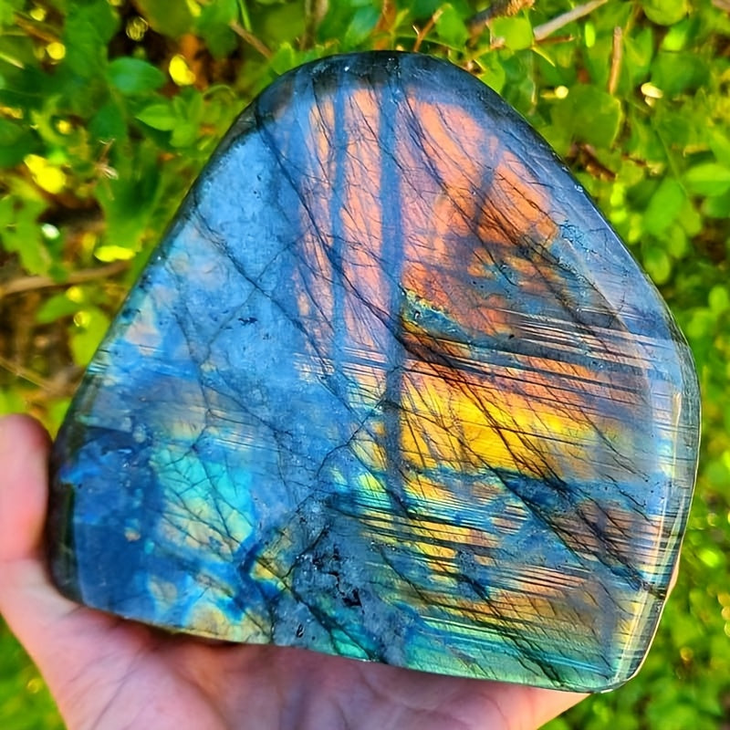 img_10871064