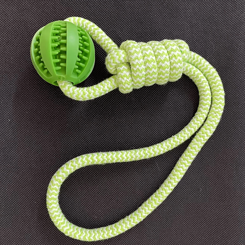img_4657311