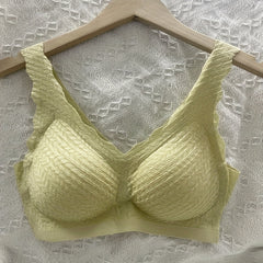Scallop Trim Wireless Push-Up Bra Textured Lingerie