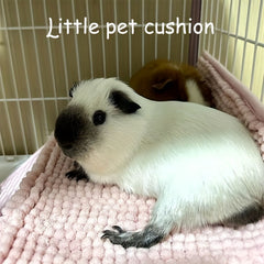 Cozy Hamster Bed Mat for All Seasons