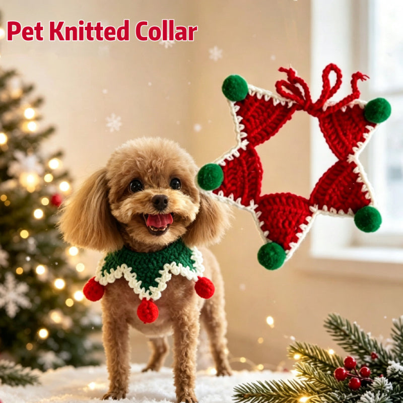 img_11136285