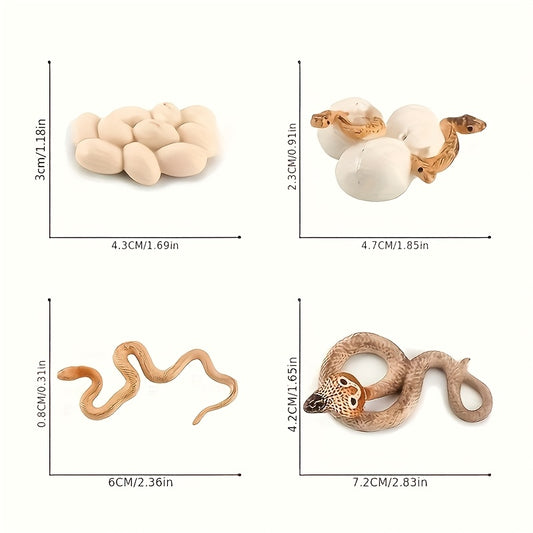 Snake Growth Cycle Sensory Toy with Habitat