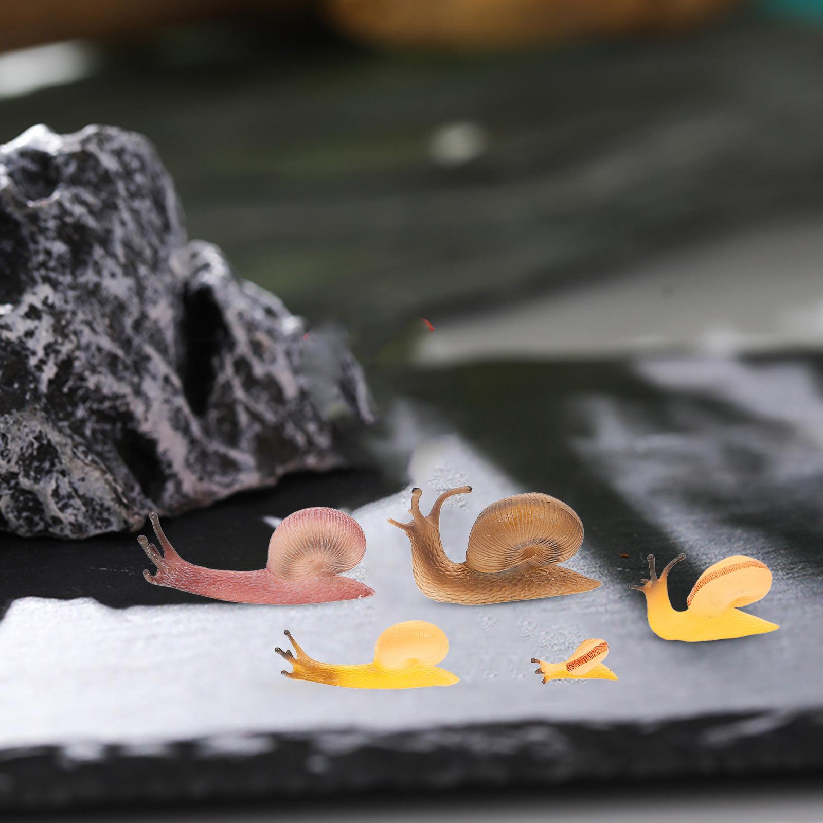 Crawler Animal Snail Landscape Disc Ornament Toy