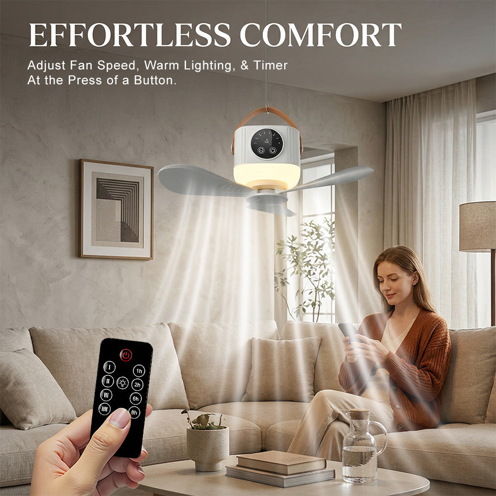 img_13029539