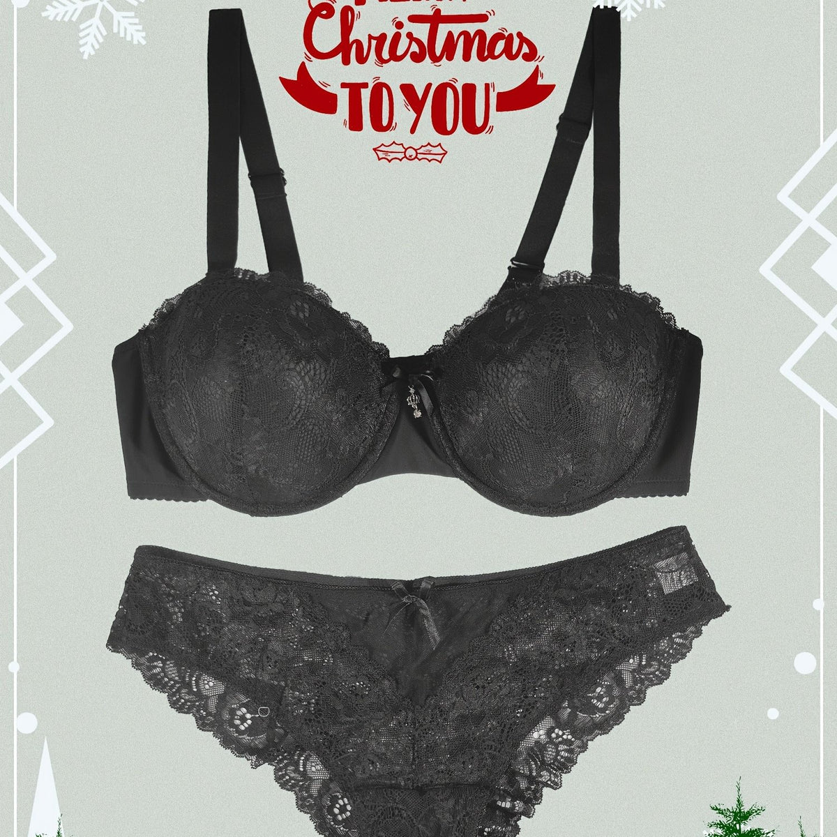  Sexy Lace Push Up Bra & Panty Set