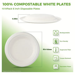 50 Pcs Biodegradable Sugarcane Pulp Disposable Plates