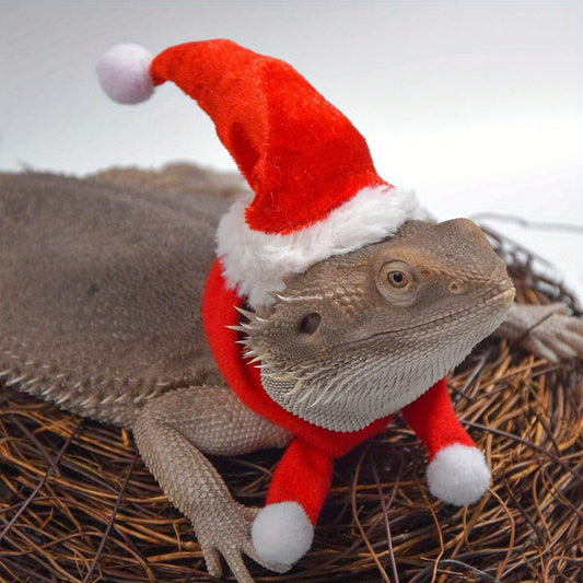 2pcs Small Pet Christmas Set Hat and Scarf Reptile Decorations
