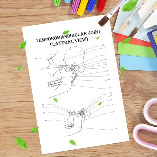 Anatomy & Physiology Coloring Book - Perfect Gift for Medical Students