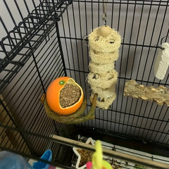 Small Bird Feeder Food Cup Water Bowl for Parrots Budgies Cockatiels