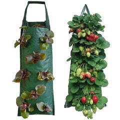 Vertical Grow Bag for Strawberries and Vegetables