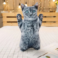 img_2922492