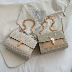 Small Crossbody Straw Handbag for Women Chain Shoulder Bag