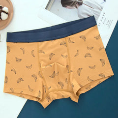 img_2582226