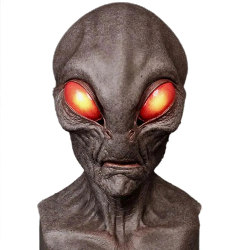img_2568392