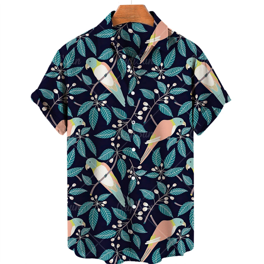 img_2426758