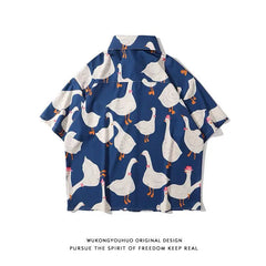 img_2426429