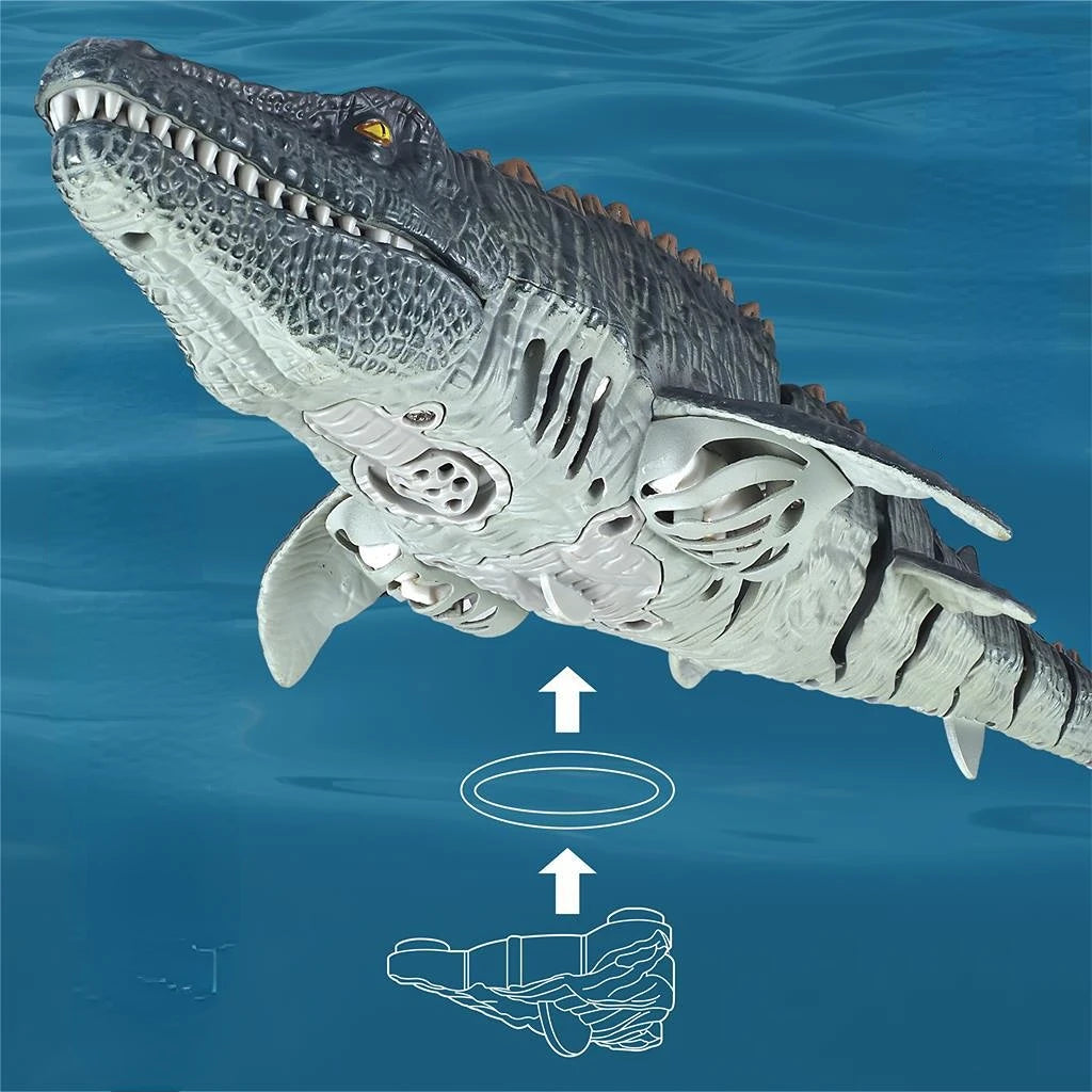 img_2862992