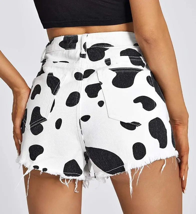 img_2293881