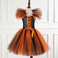 img_2551929