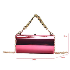 Acrylic Transparent Chain Clutch Handbag Silver Purse
