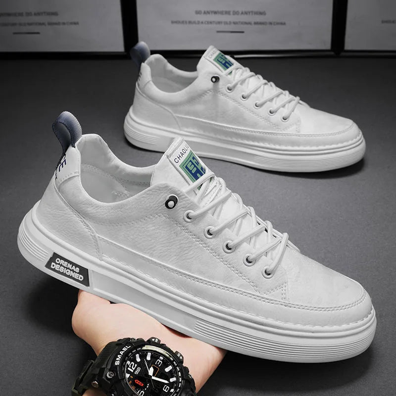 img_1499005